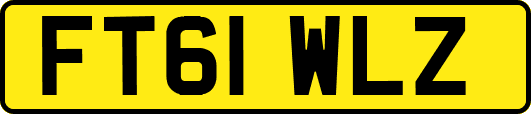 FT61WLZ