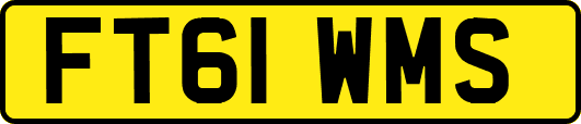 FT61WMS