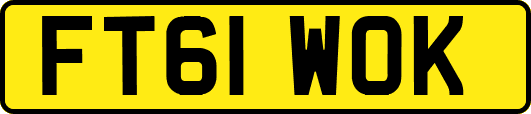 FT61WOK