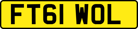 FT61WOL