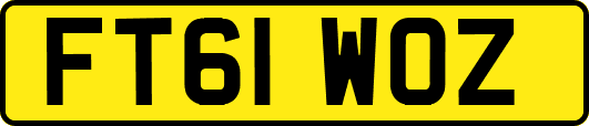 FT61WOZ