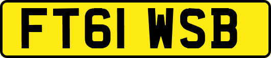 FT61WSB