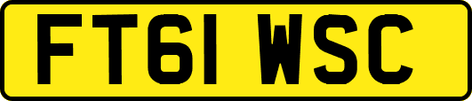 FT61WSC