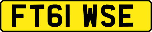 FT61WSE