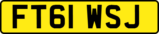 FT61WSJ