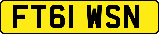 FT61WSN