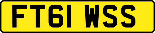 FT61WSS