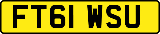 FT61WSU