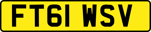 FT61WSV