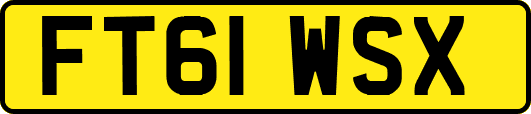 FT61WSX