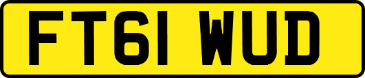 FT61WUD