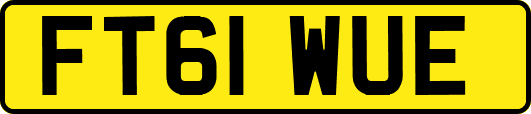 FT61WUE