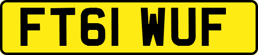 FT61WUF