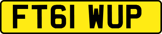 FT61WUP