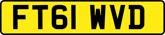 FT61WVD