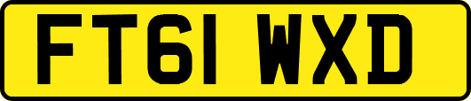 FT61WXD