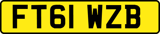 FT61WZB