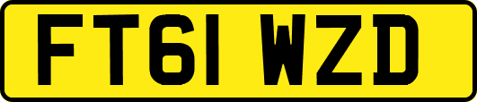FT61WZD