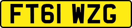 FT61WZG