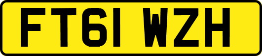 FT61WZH
