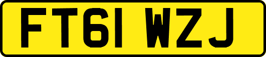 FT61WZJ
