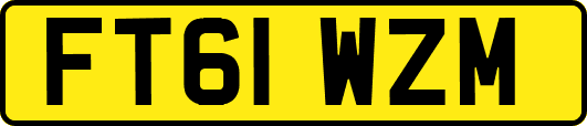 FT61WZM