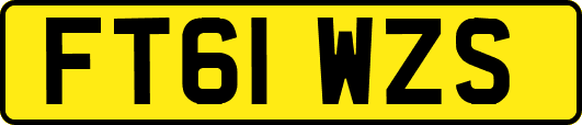 FT61WZS
