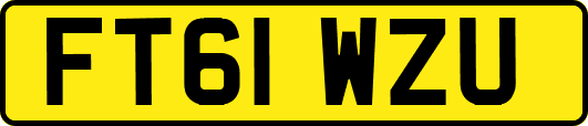 FT61WZU