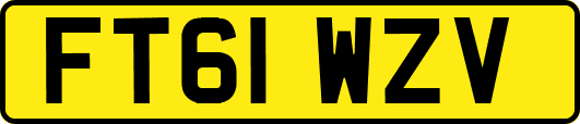 FT61WZV