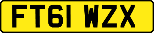FT61WZX