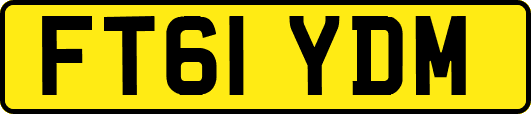 FT61YDM