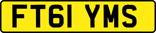 FT61YMS