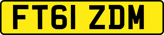 FT61ZDM