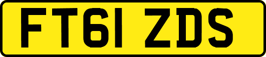 FT61ZDS