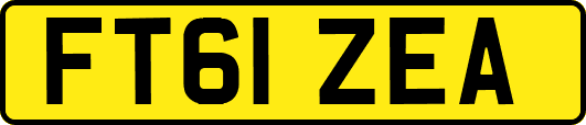FT61ZEA
