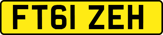 FT61ZEH