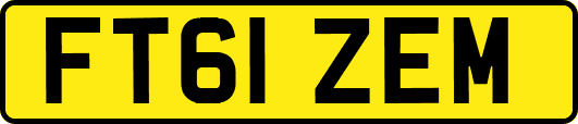 FT61ZEM
