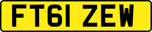 FT61ZEW