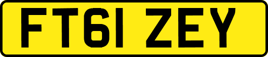 FT61ZEY