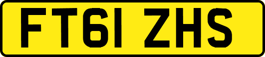 FT61ZHS