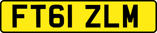 FT61ZLM