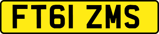 FT61ZMS