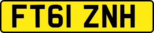 FT61ZNH