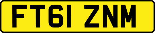 FT61ZNM