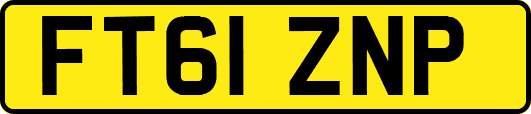 FT61ZNP
