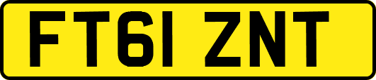 FT61ZNT