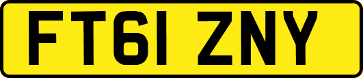 FT61ZNY