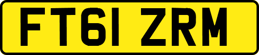 FT61ZRM