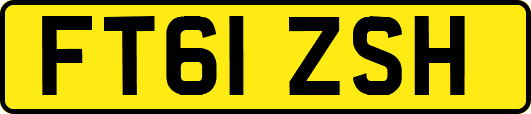 FT61ZSH