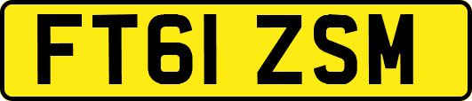 FT61ZSM